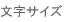 文字サイズ